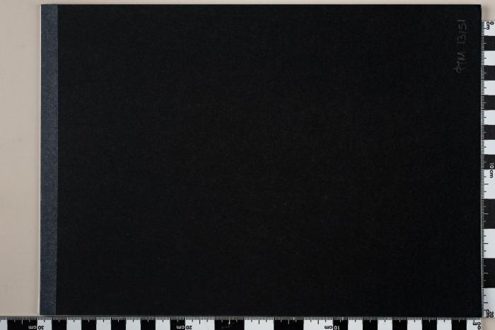 PPM 13151_1
