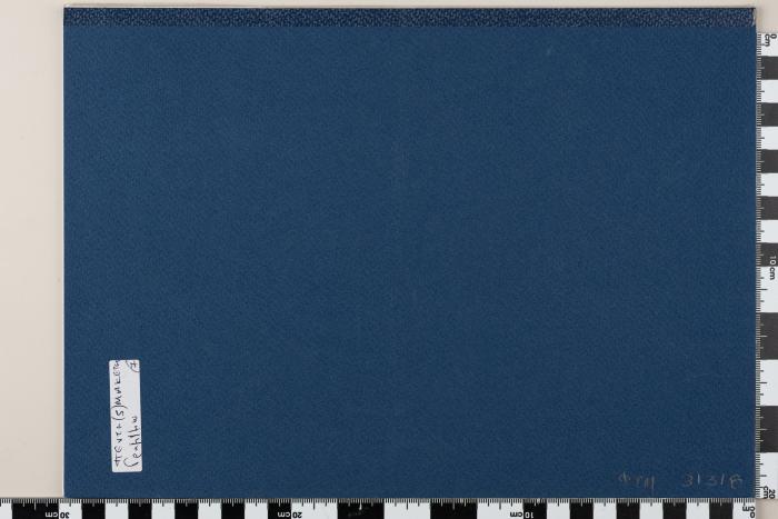 PPM 31318_1