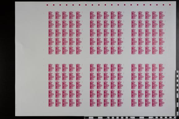 PPM 33872