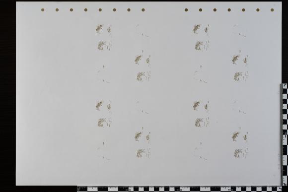 PPM 30572