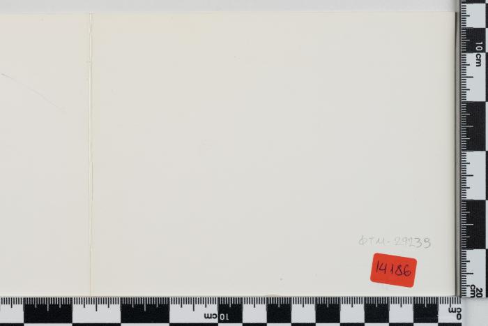PPM 29239_1