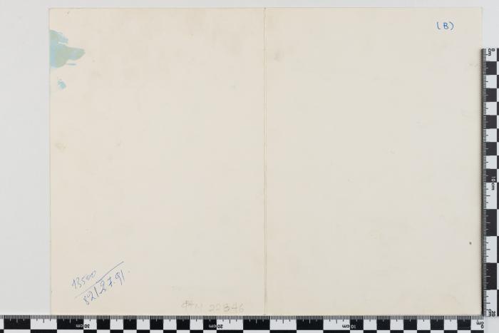 PPM 22846_1