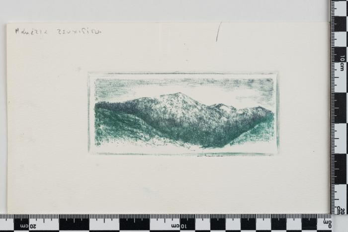 PPM 28627_1