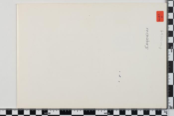 PPM 29234_1