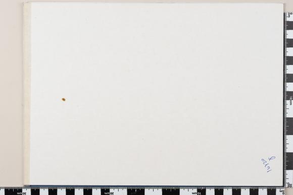 PPM 31479_3