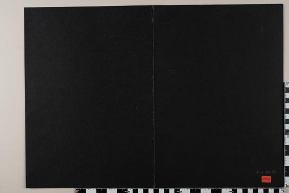 PPM 28555_1