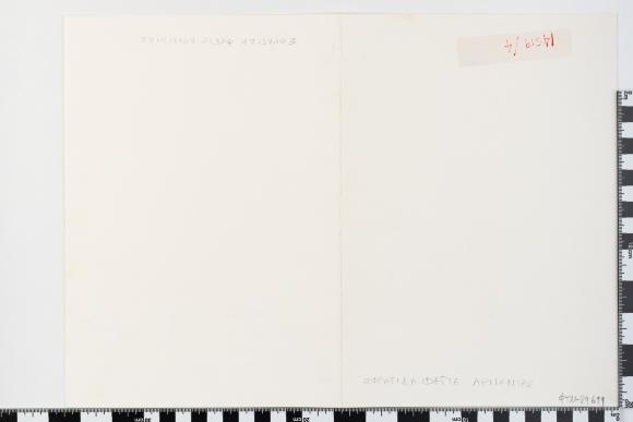 PPM 29699_1