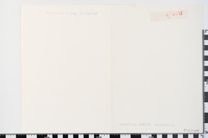 PPM 29699_1