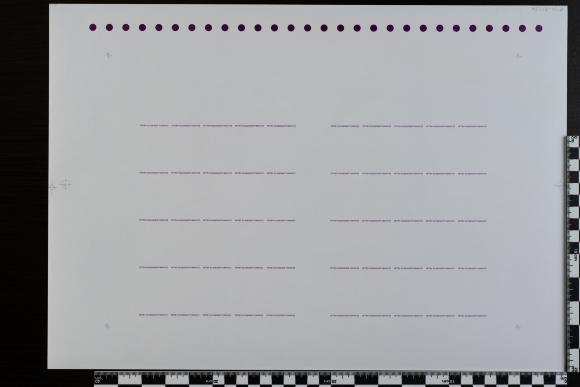 PPM 31871