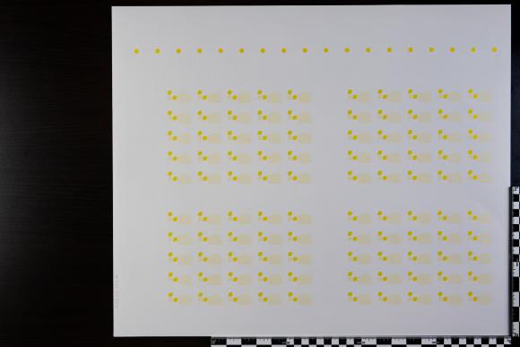 PPM 33994