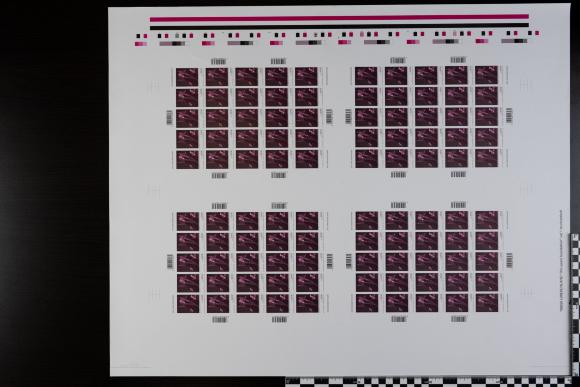 PPM 18281