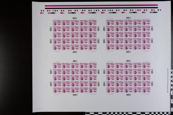 PPM 18252