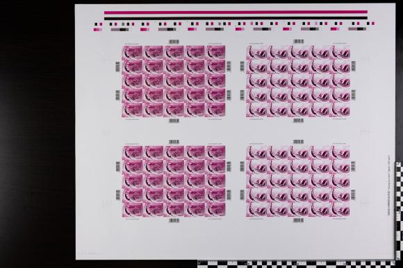 PPM 18214