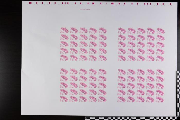 PPM 15946