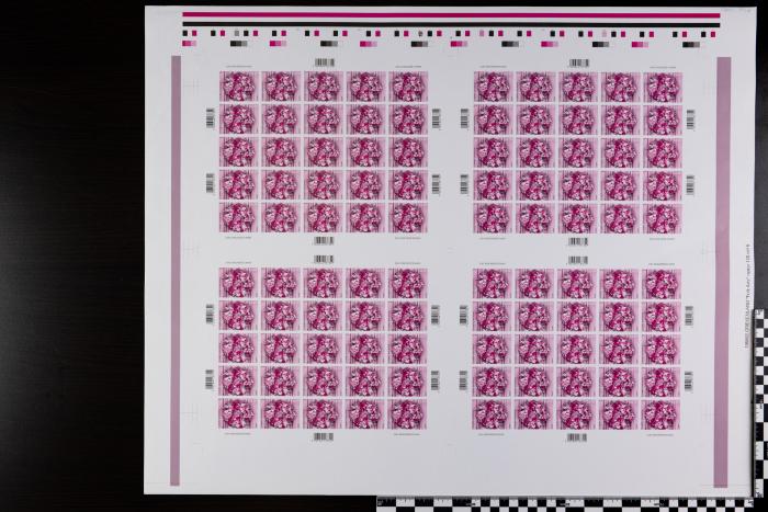 PPM 17923