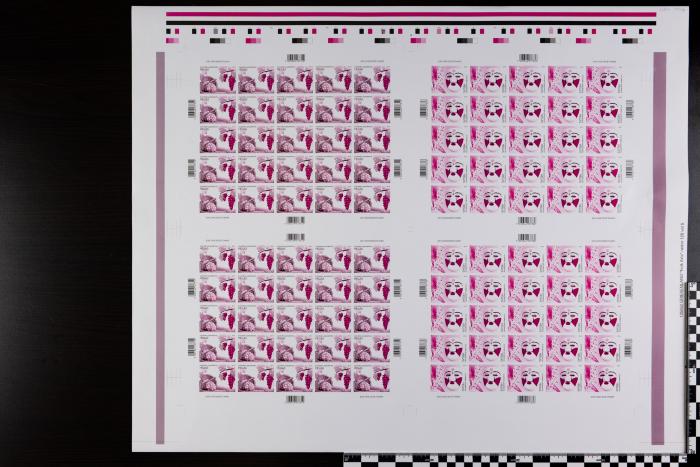 PPM 17937