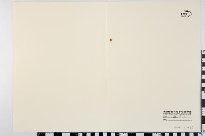 PPM 17490_1