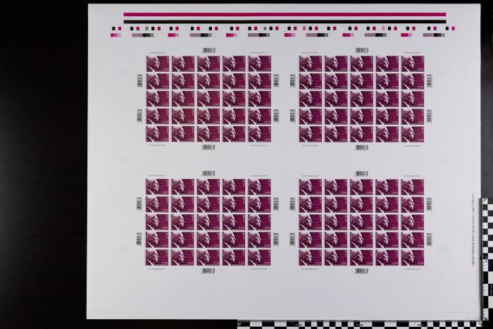 PPM 17993