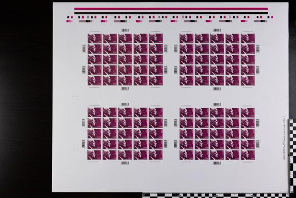 PPM 17993