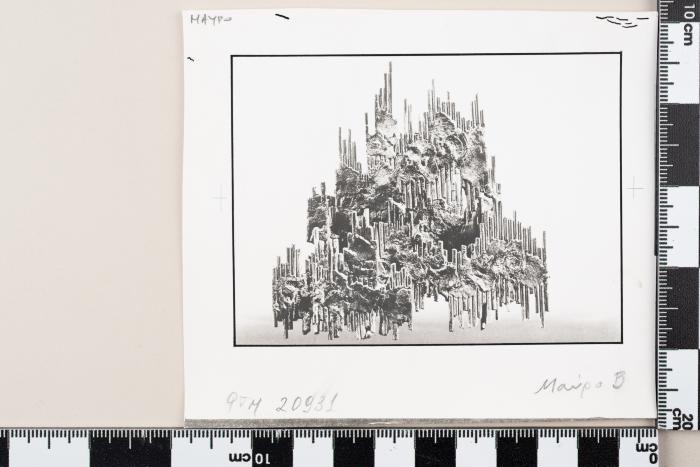 PPM 20931_1