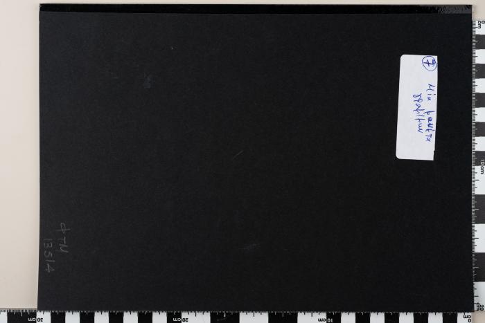 PPM 13514_1