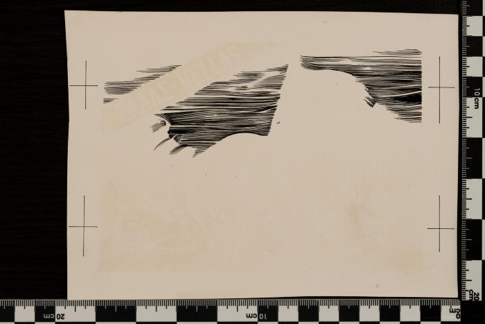 PPM 1394_1