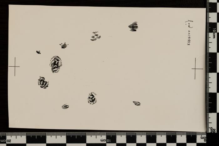 PPM 1216_1