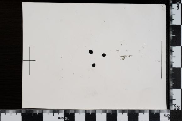 PPM 1410_1