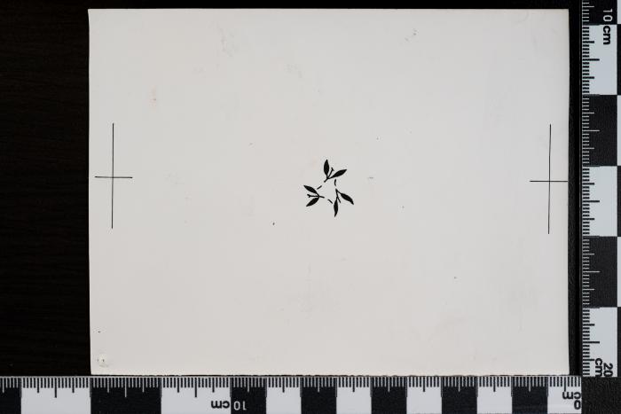 PPM 1409_1