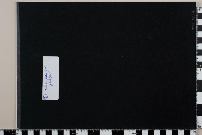 PPM 13543_1