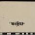 PPM 2624_1