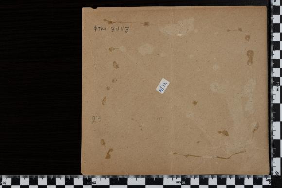 PPM 3443_2