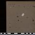 PPM 3444_1