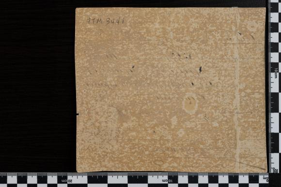 PPM 3441_2