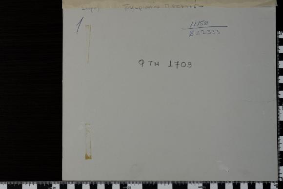 PPM 1709_2