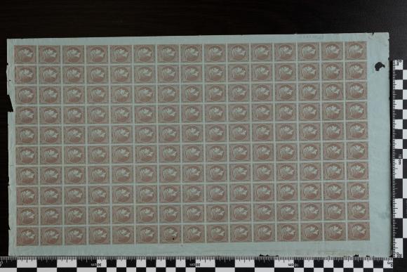 PPM 6975_1