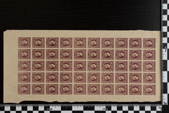 PPM 7007