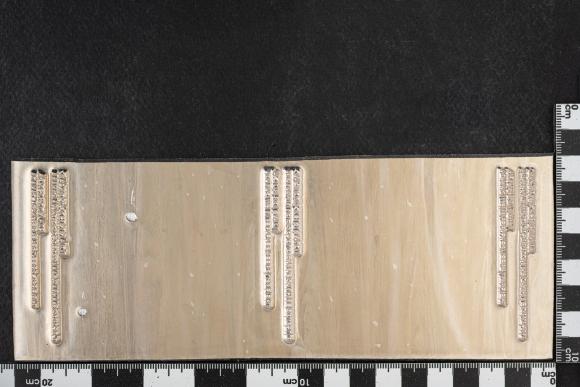 PPM 18656_1