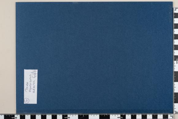 PPM 31801_1