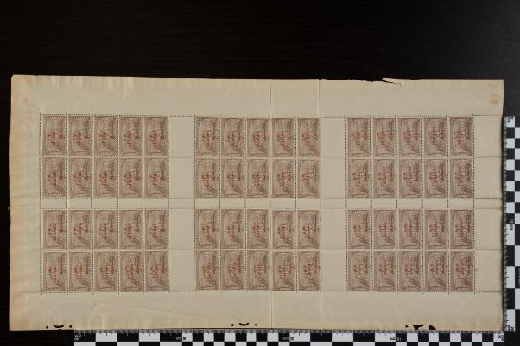 PPM 6972