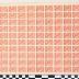 PPM 6955_1