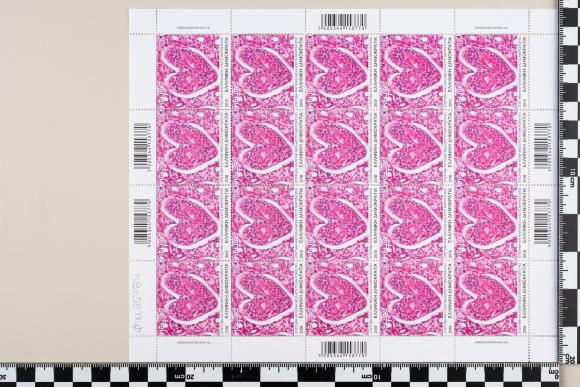 PPM 65784