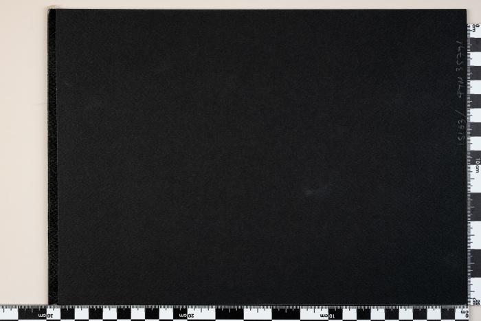 PPM 35791_1