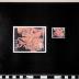 PPM 35791_1