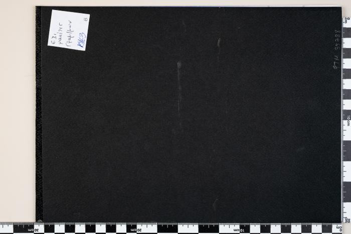 PPM 35788_1