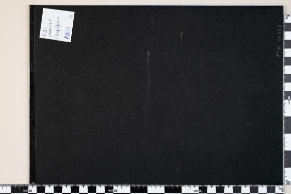 PPM 35788_1