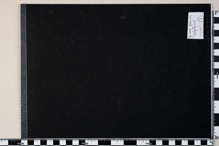 PPM 37995_1