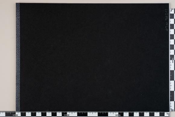 PPM 38213_1