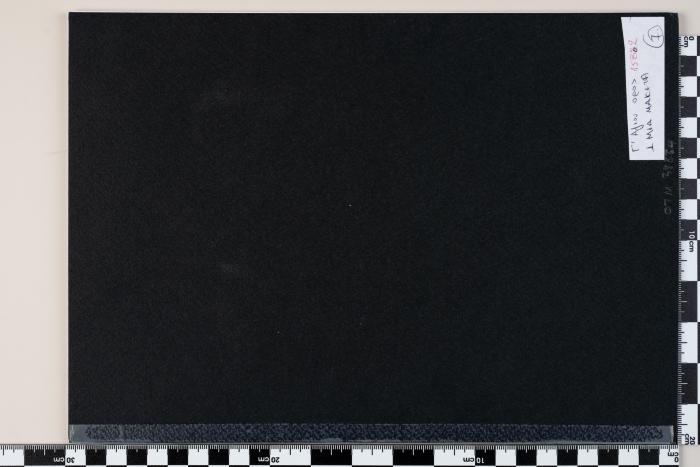PPM 38864_1