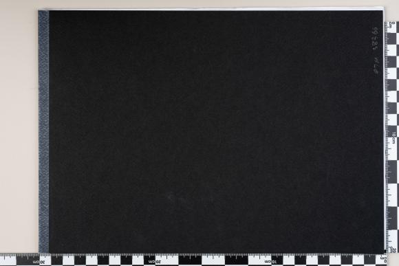 PPM 38366_1